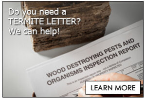 Redfern Pest Solutions termite letter icon